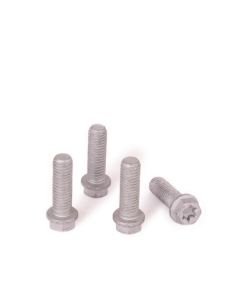 Screw Kit for Fix / Flex Fix (4x bolts M8x25)