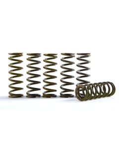 Hi-Temp Clutch Spring Kit Yamaha YZF250 19-22